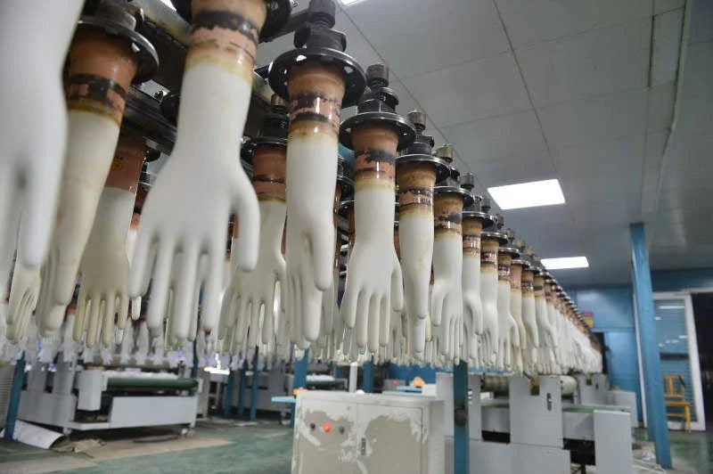 Why Malaysian and Thai Latex and Nitrile Gloves Are the Gold Standard in Quality