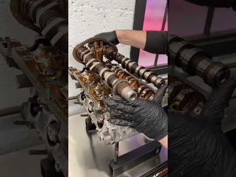 PY700S-CS, PY700M-CS, PY700L-CS, PY700XL-CS PY700XXL-CS