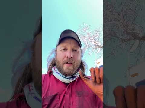 CH500S-CS, CH500M-CS, CH500L-CS, CH500XL-CS, CH500XXL-CS, CH500S-Pallet, CH500M-Pallet, CH500L-Pallet, CH500XL-Pallet, CH500XXL-Pallet