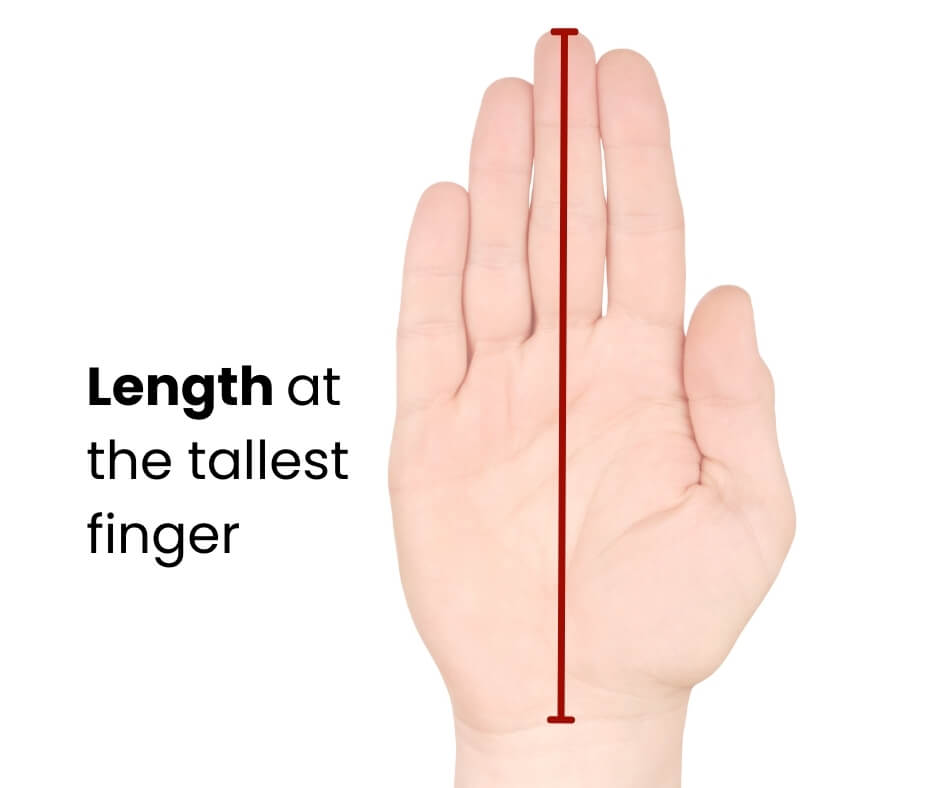 Measure the Length of Your Hand